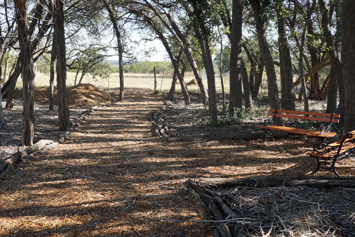 CapitolAreaBSA tweet media