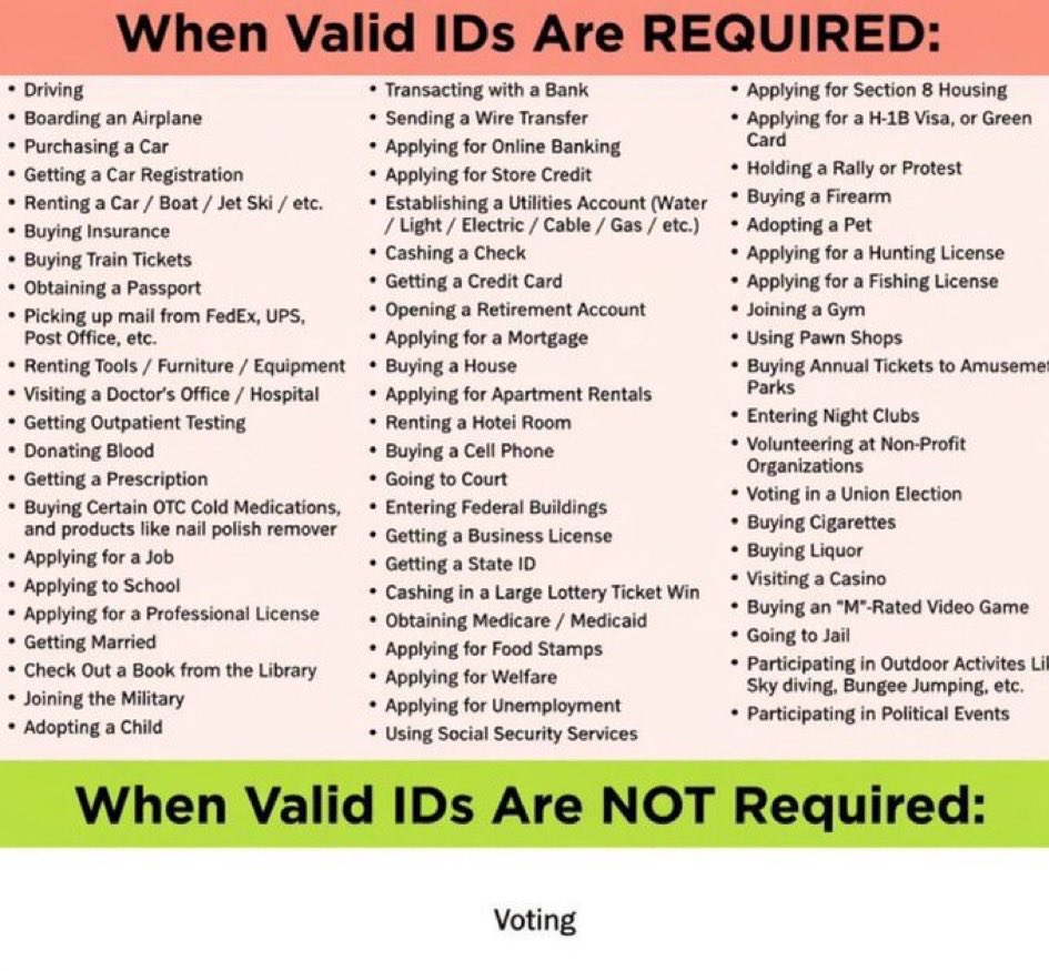 Sara Rose 🇺🇸🌹 tweet media