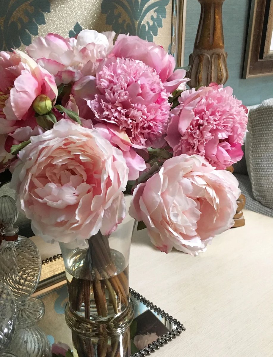 Shimmmer tweet media