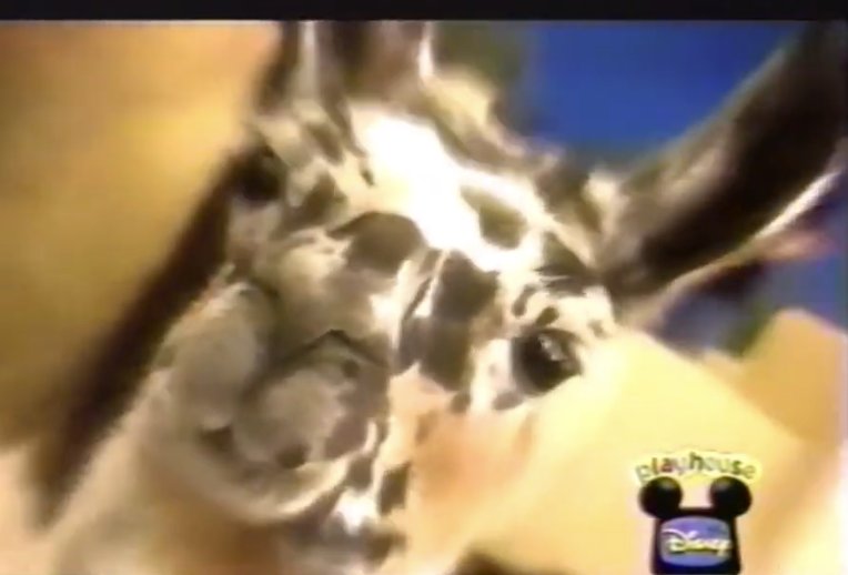 Spin It Podcast tweet media