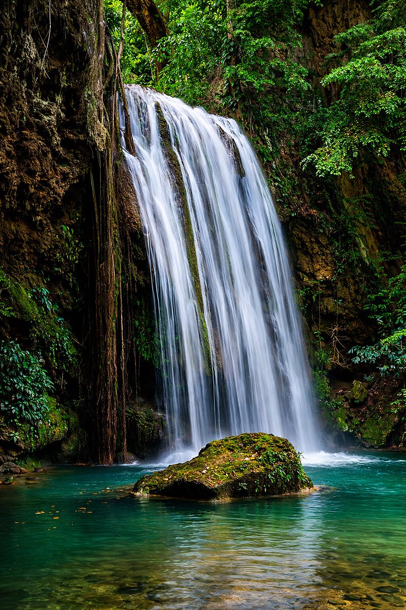 IntegralAnswers tweet media