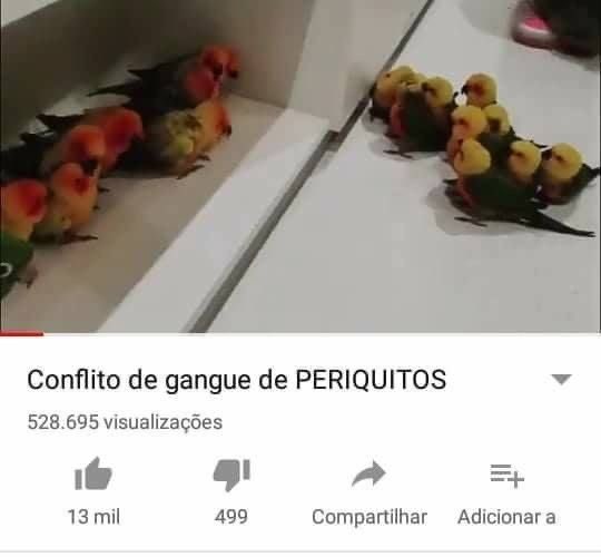 Shitpost só que de verdade tweet media