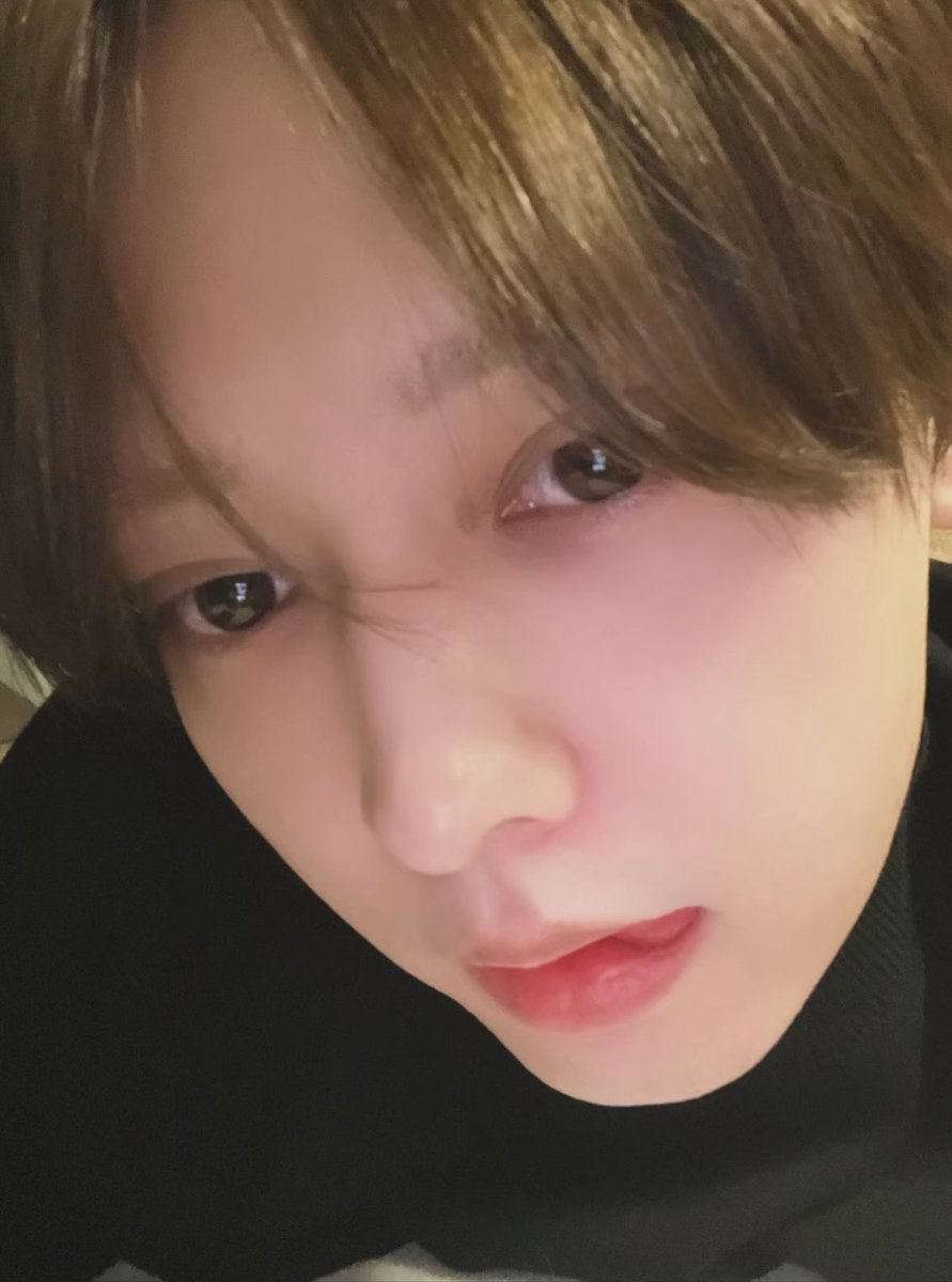 なちゃん🐈🐾 tweet media