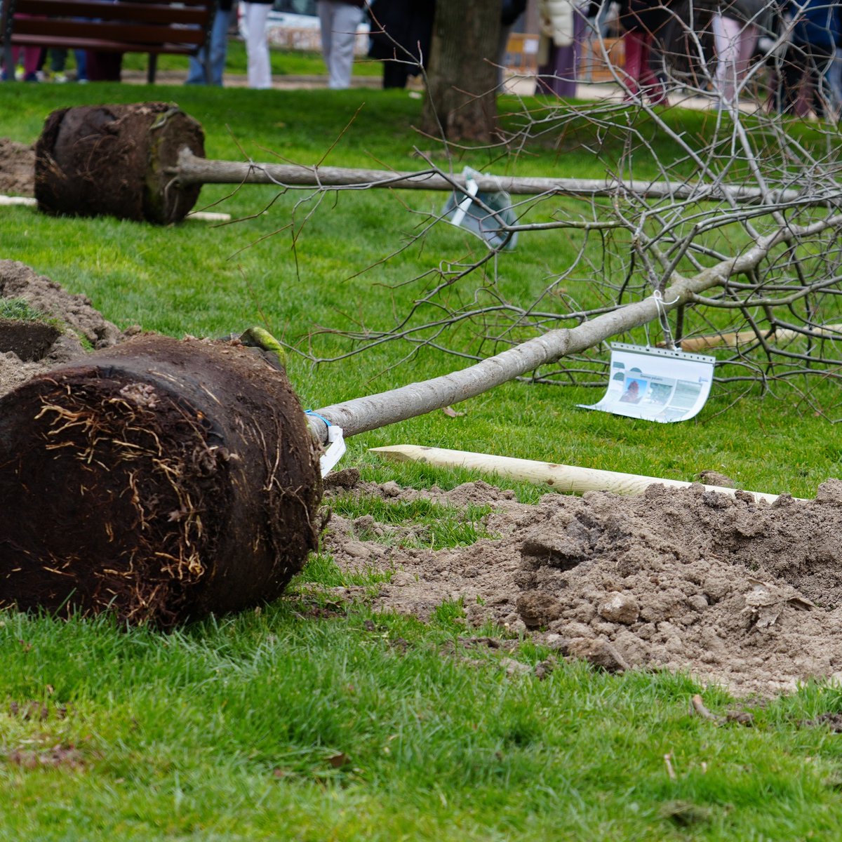 Ayuntamiento de Móstoles tweet media