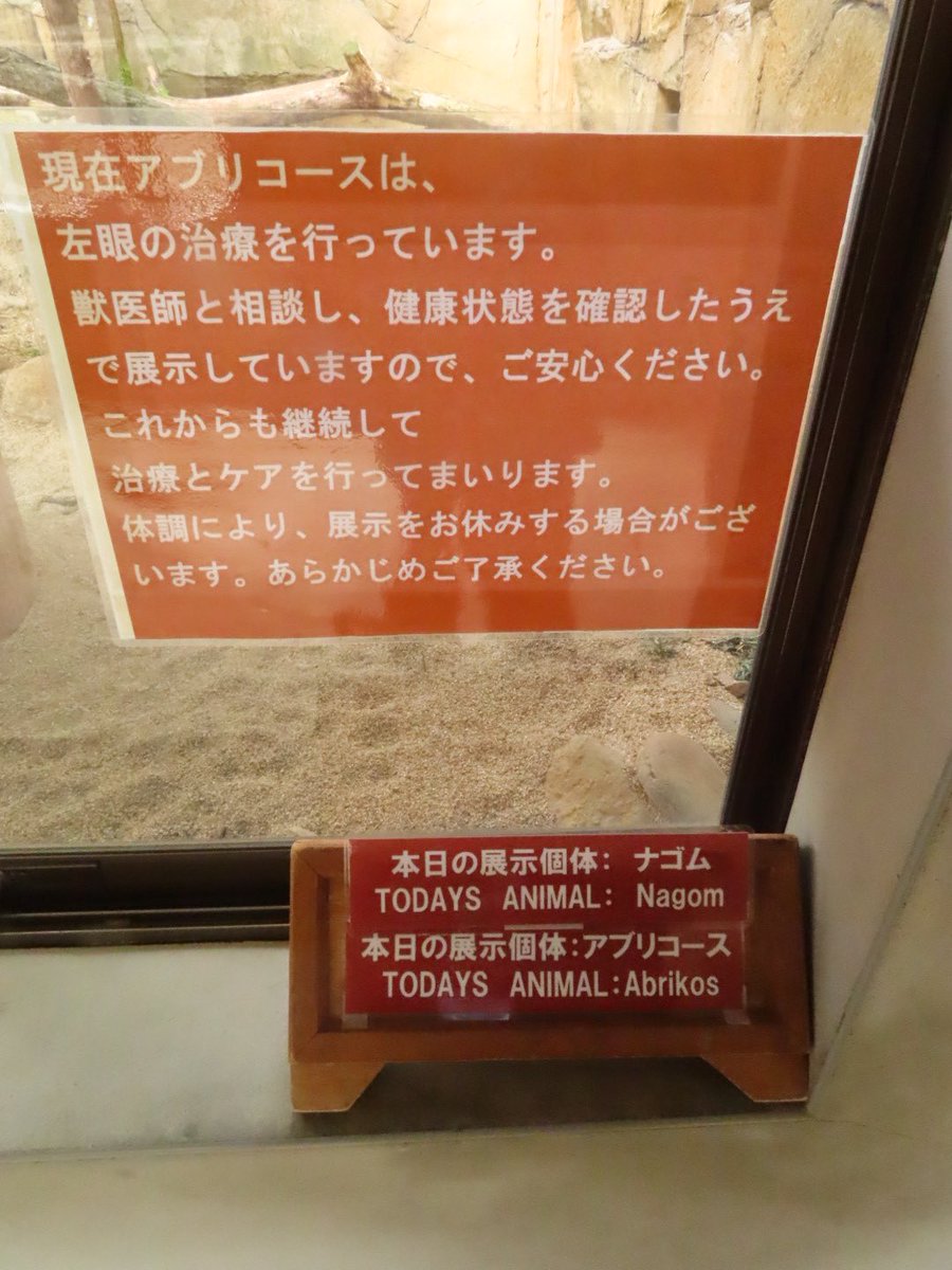 ゆーや★ tweet media