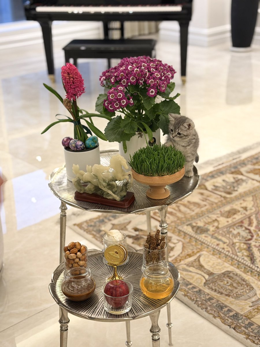 کیمیا tweet media