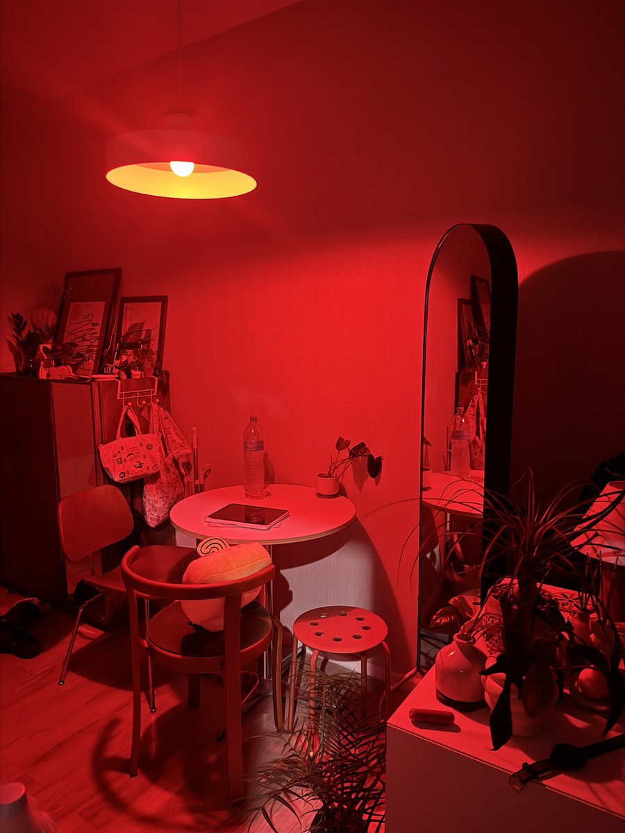 ปป ᱸ⁎⁺ 𝙏𝙚𝙣𝙖𝙡𝙞𝙘𝙚 🐈⬛ 𐙚 tweet media