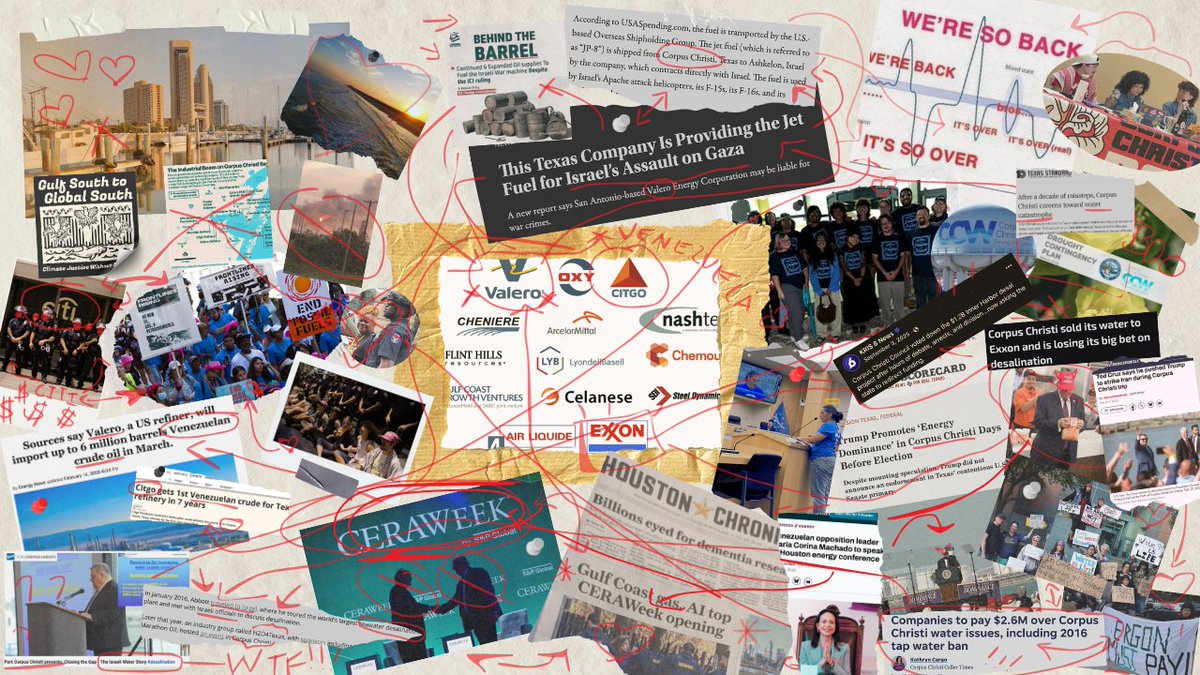 Corpus Christi DSA 🌹 tweet media