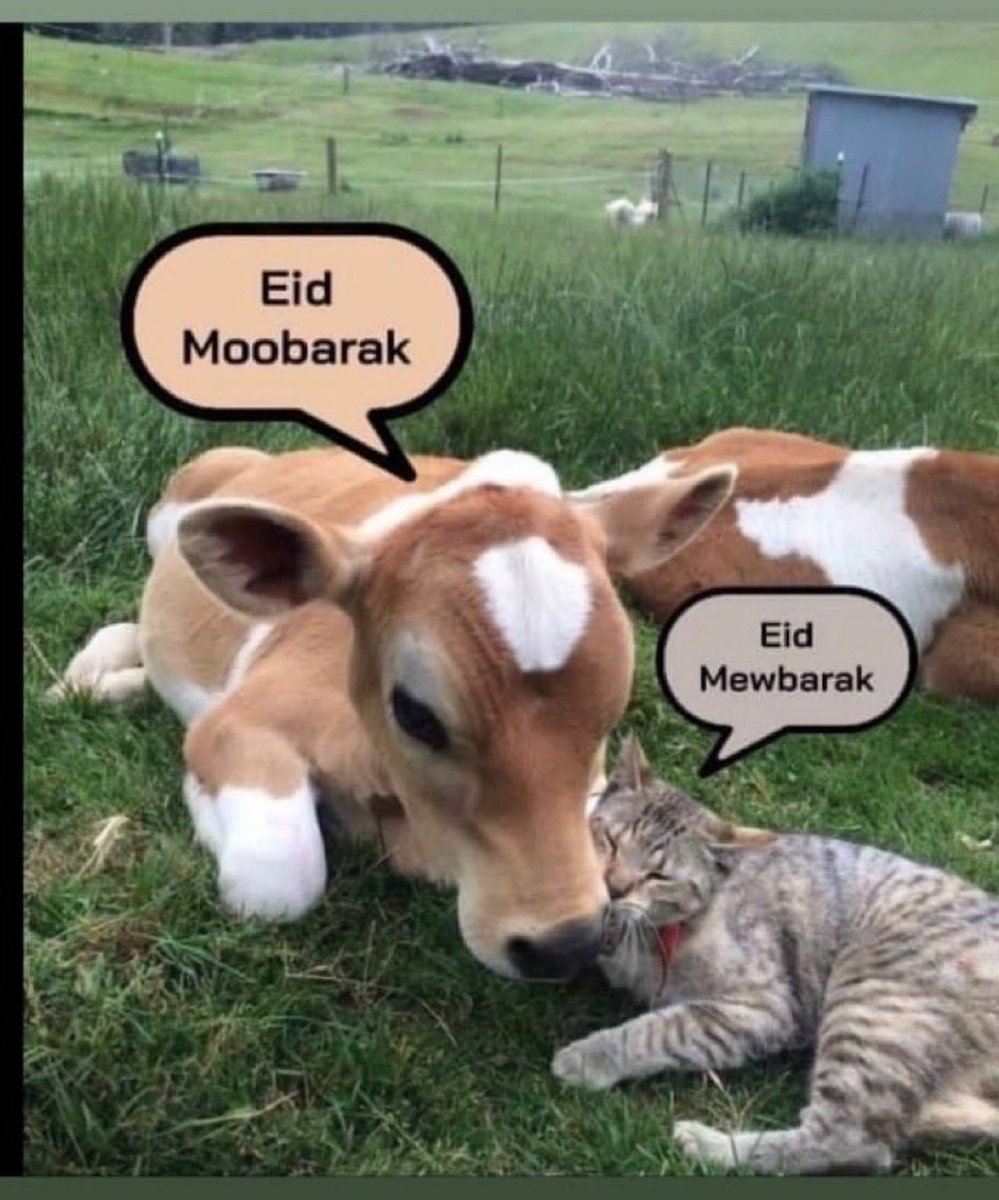 Senator Megan Hunt tweet media