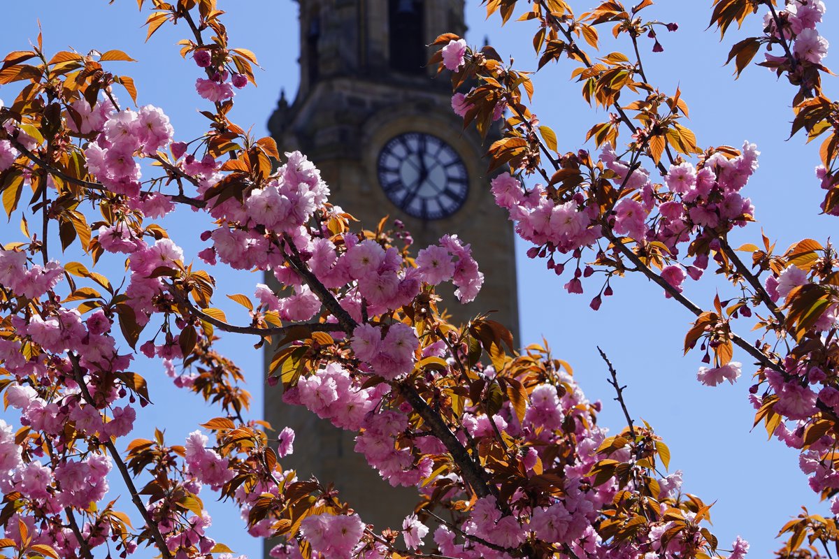 University of Detroit Mercy tweet media