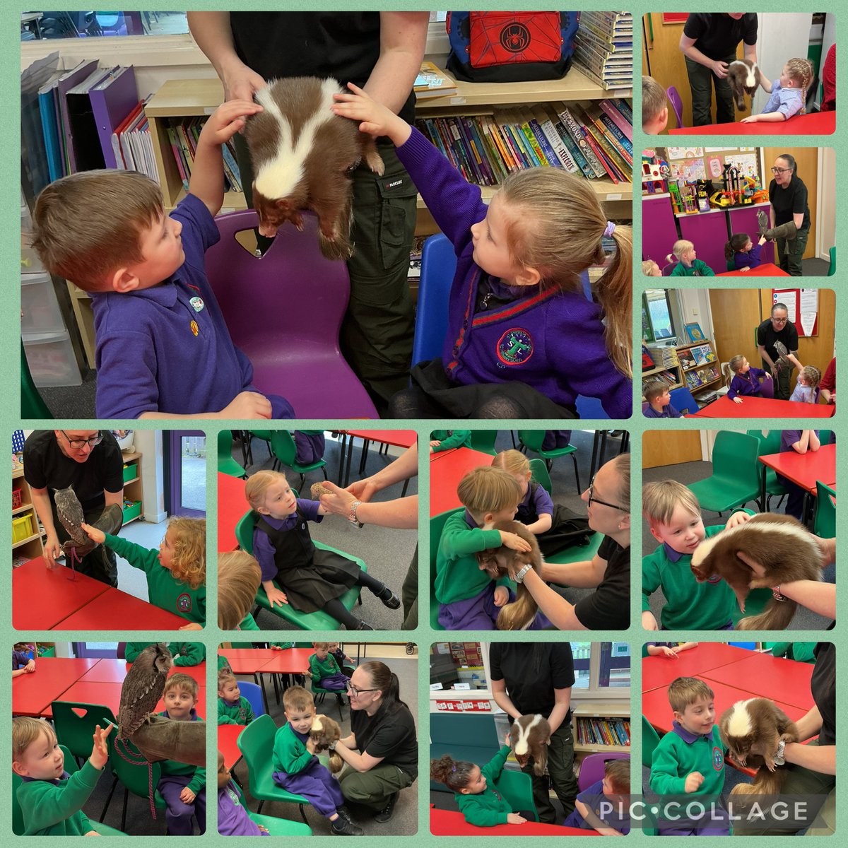 St. Thérèse of Lisieux Catholic Primary School tweet media