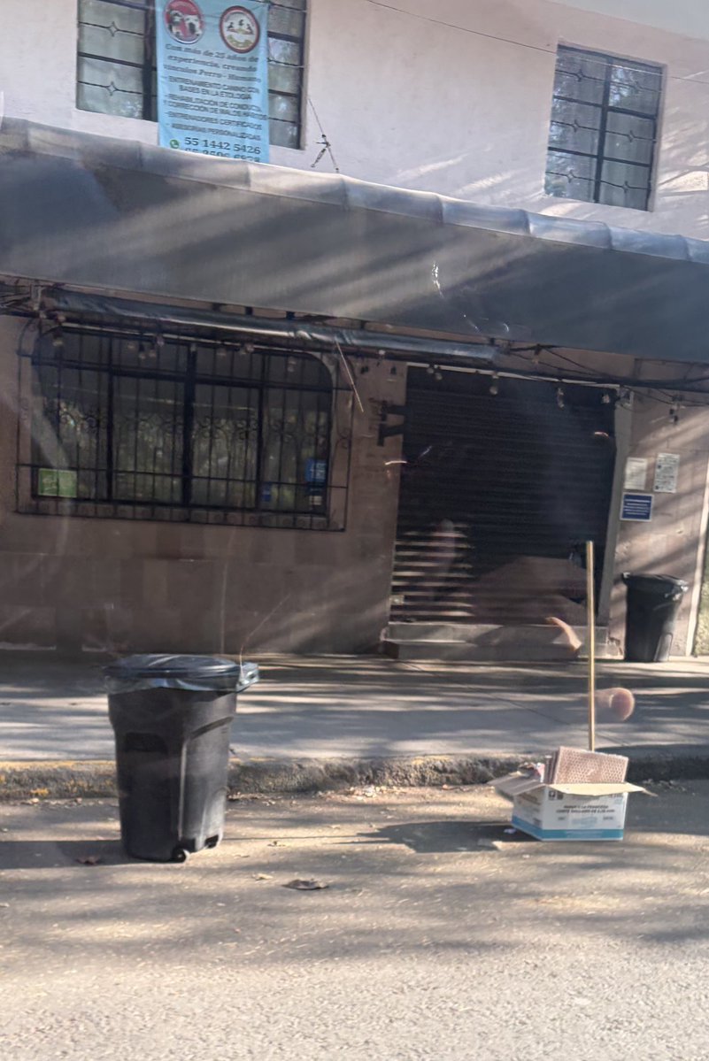 Reportandocdmx👀 tweet media