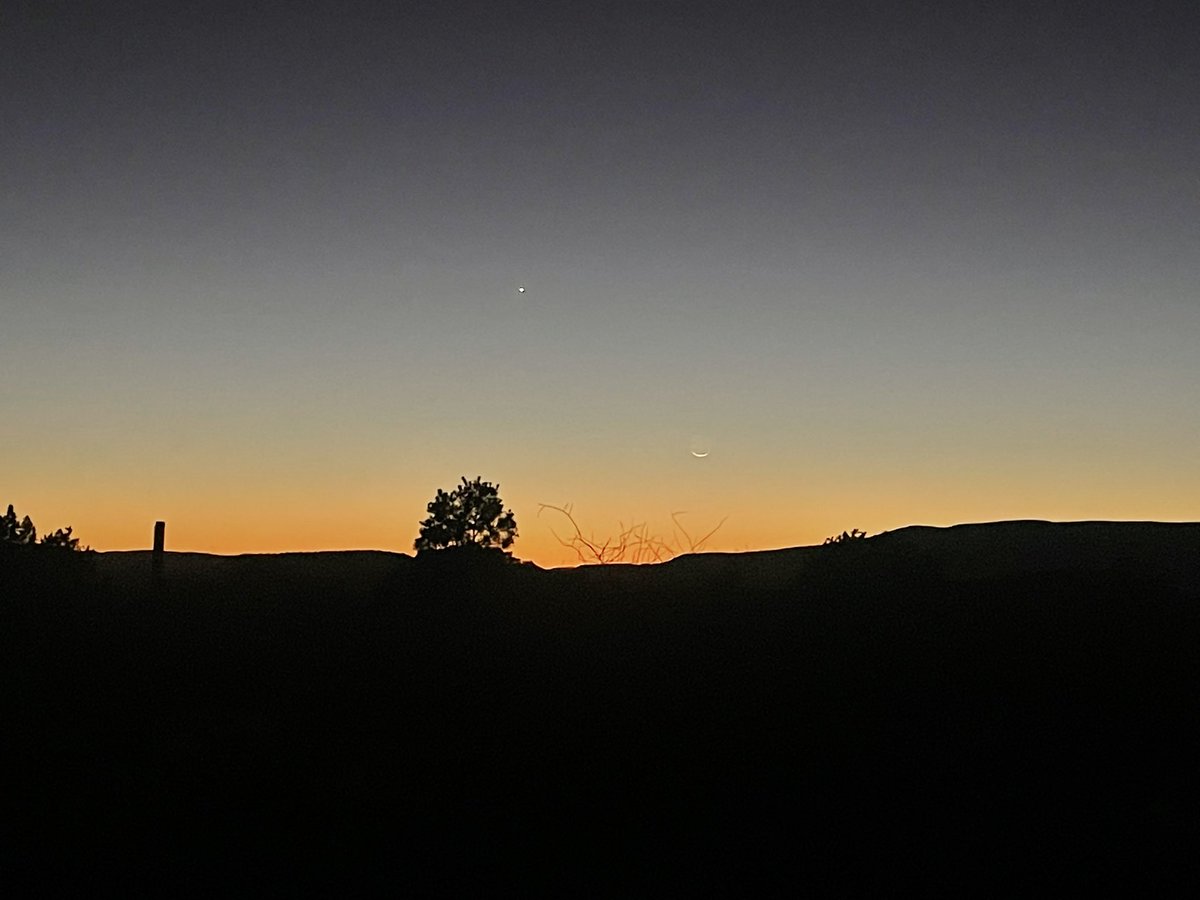 Rizwan Virk tweet media