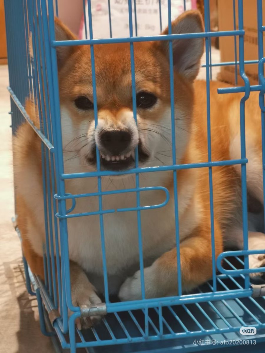 Pixels.AI tweet media