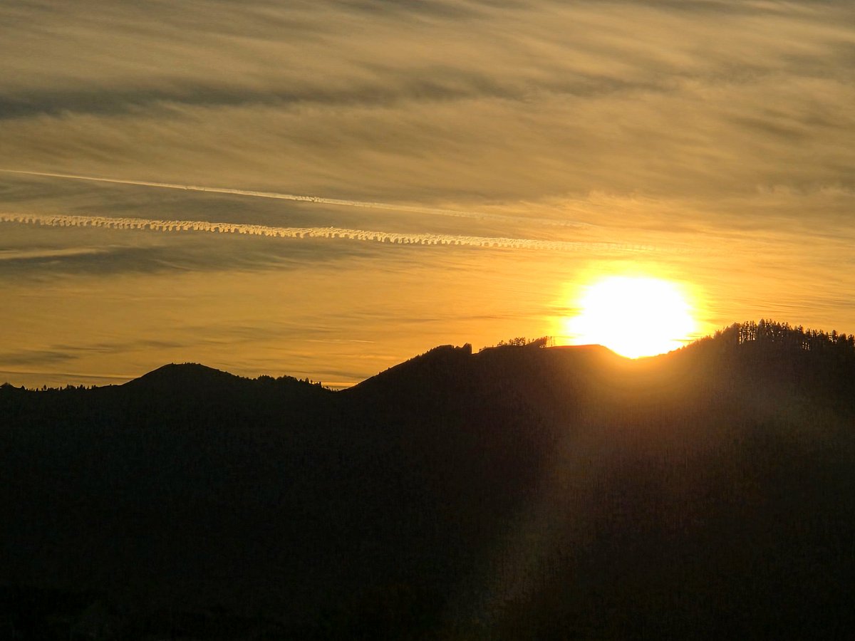 Daddy Plow tweet media