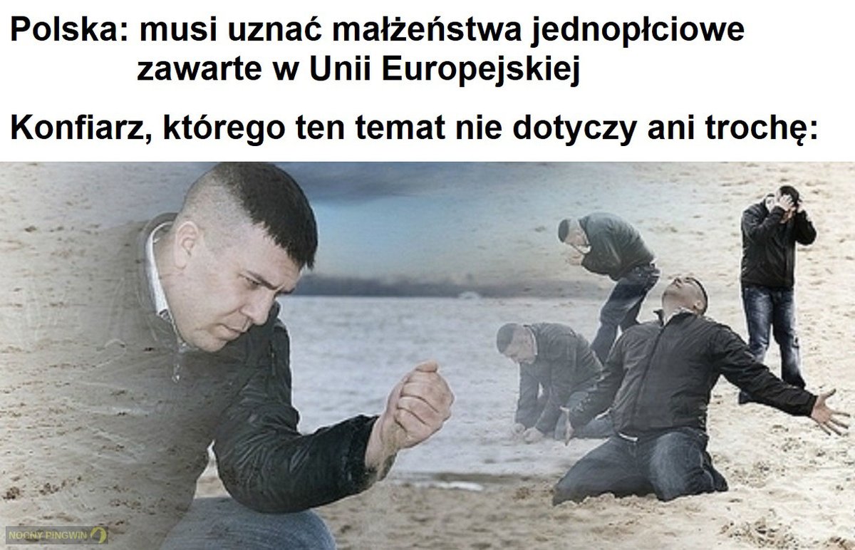 Nocny Pingwin tweet media