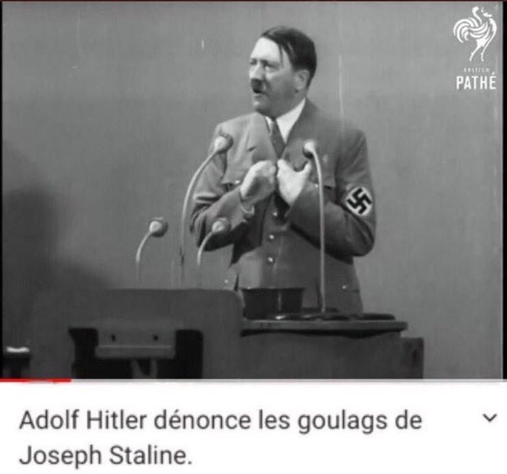 ibi67 from Elsass 🇲🇨 #BlueCoOut tweet media