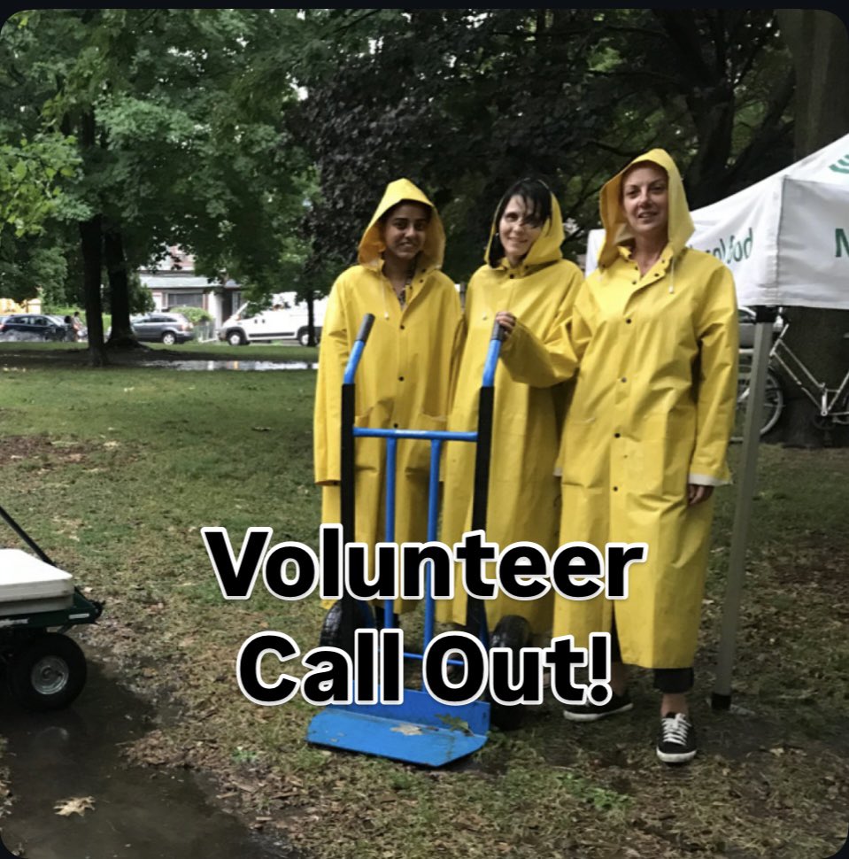 Trinity Bellwoods Park tweet media