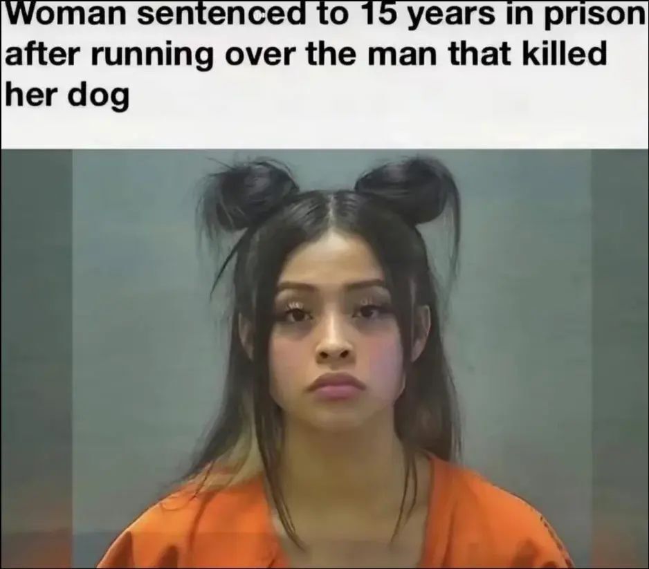 here’s something tweet media