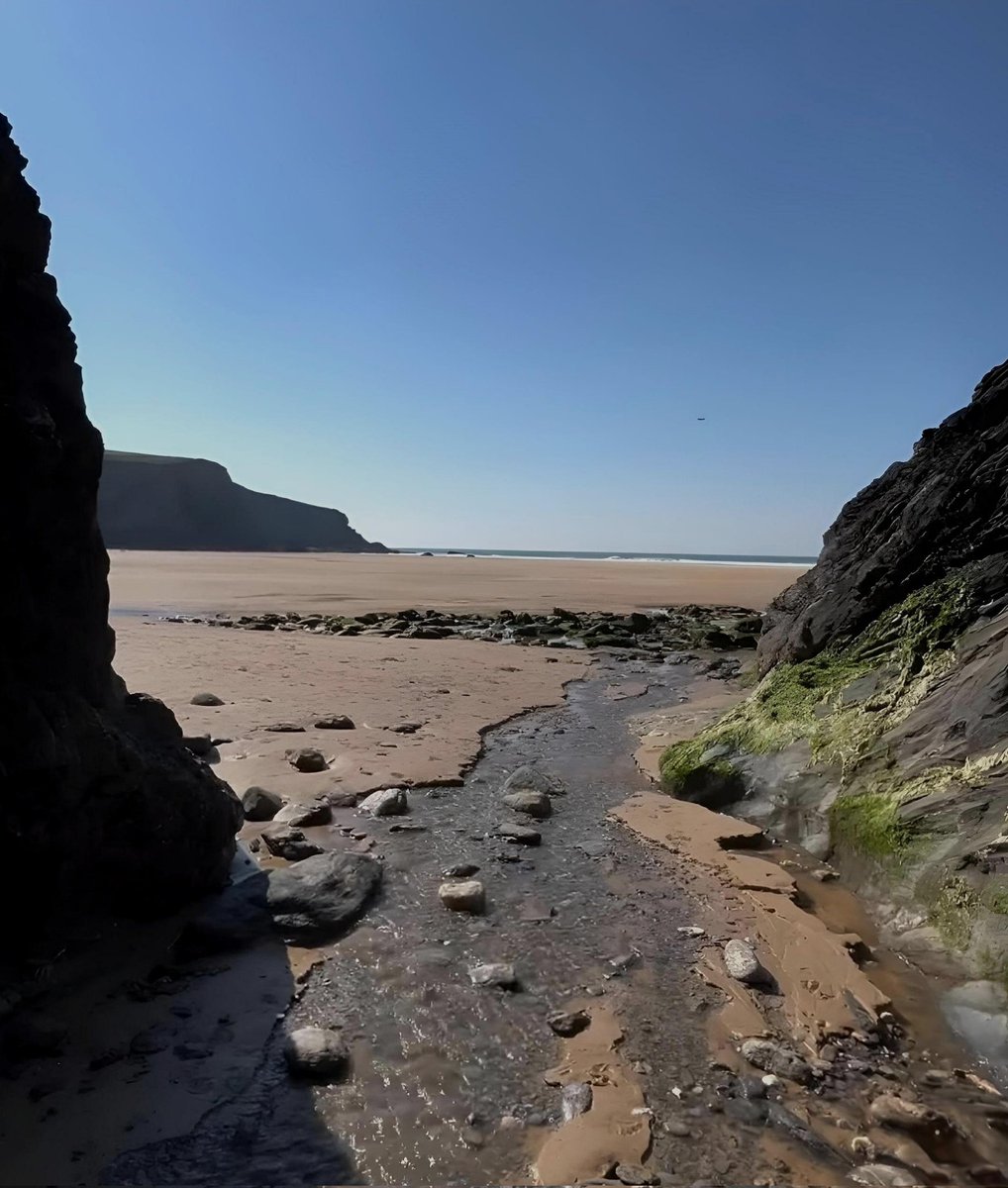 Kate 🏄‍♀️🌊🤙〓〓 tweet media