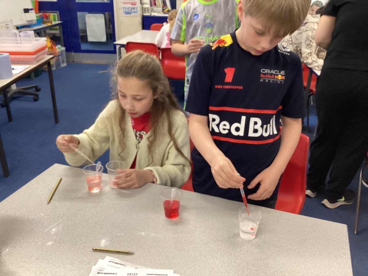 Year 4 Tankersley St Peter's tweet media