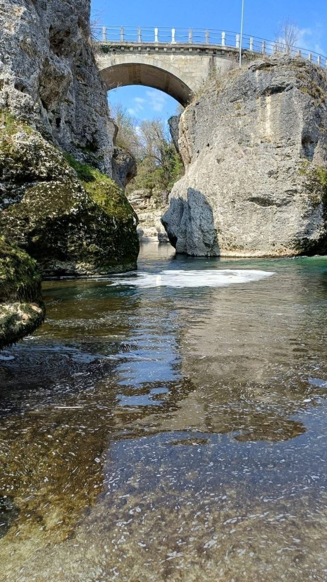 ARPA FVG tweet media