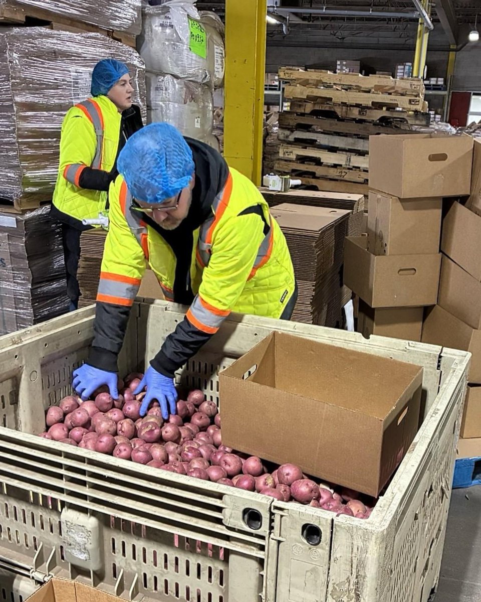 Colin Reynolds tweet media