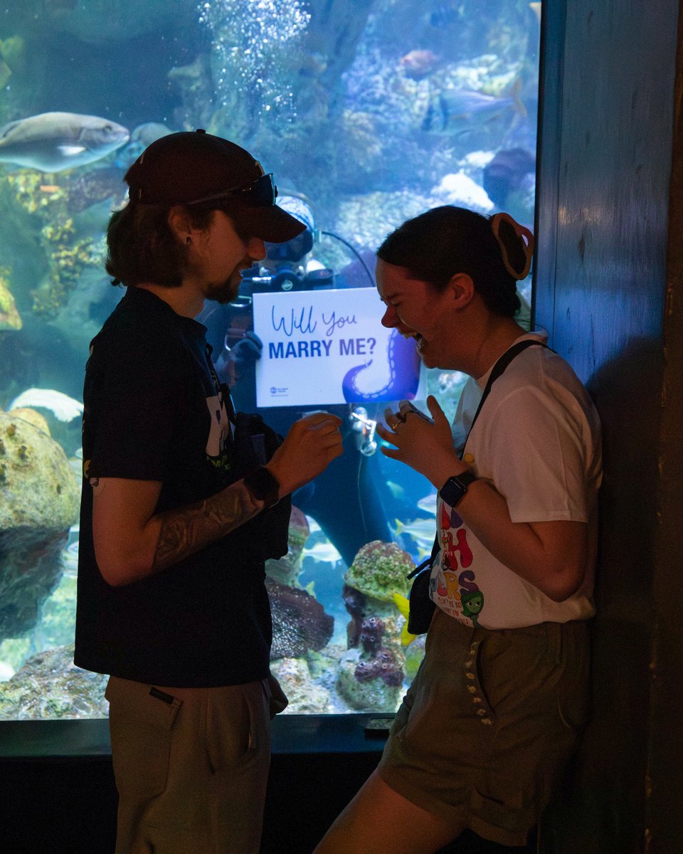 New England Aquarium tweet media