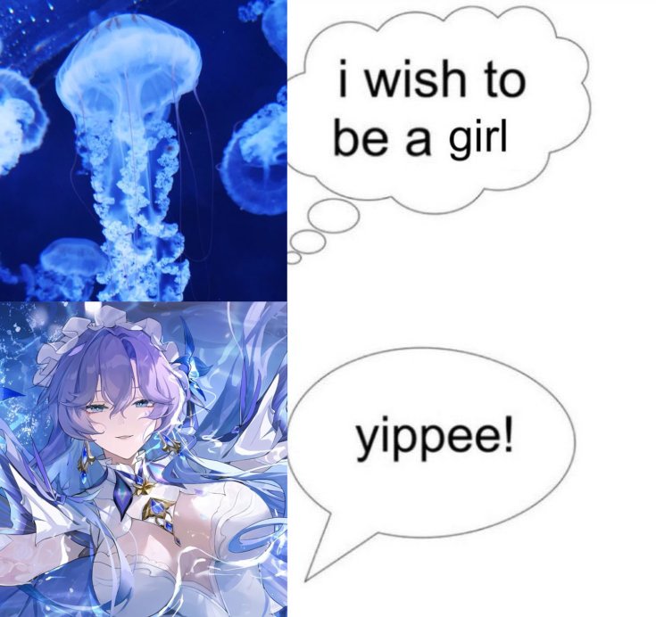 Daily Cantarella🪼 tweet media