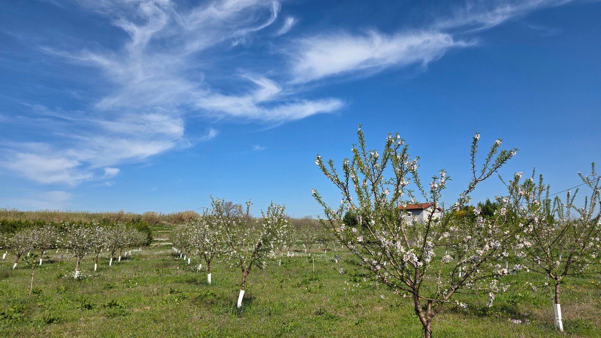 Jordi Rodoreda Rosàs tweet media