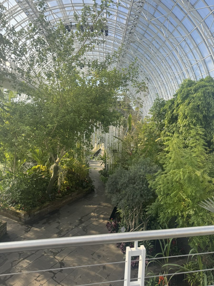 Mosh_Pit_Chad tweet media