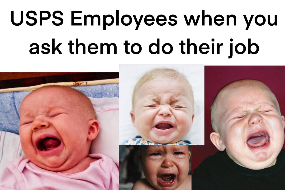 fruitprint tweet media