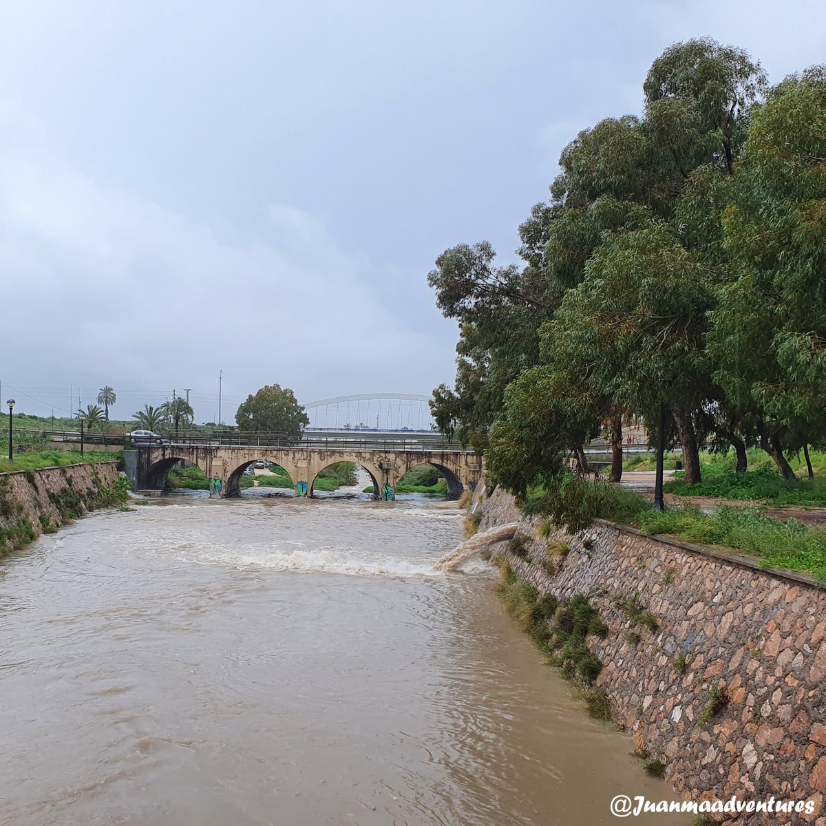 Elche en días de lluvia.