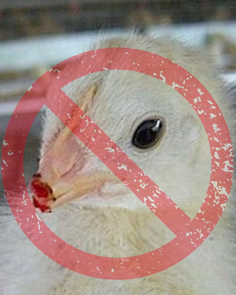 John Oberg tweet media