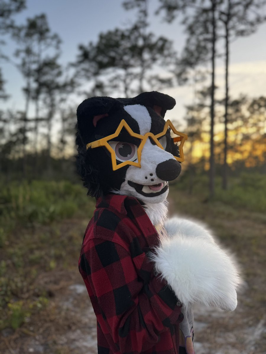 NovaFox🇺🇦🇵🇸🇻🇪 tweet media