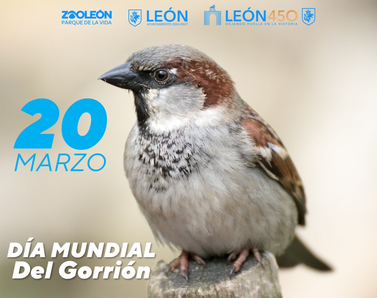 Zooleon tweet media