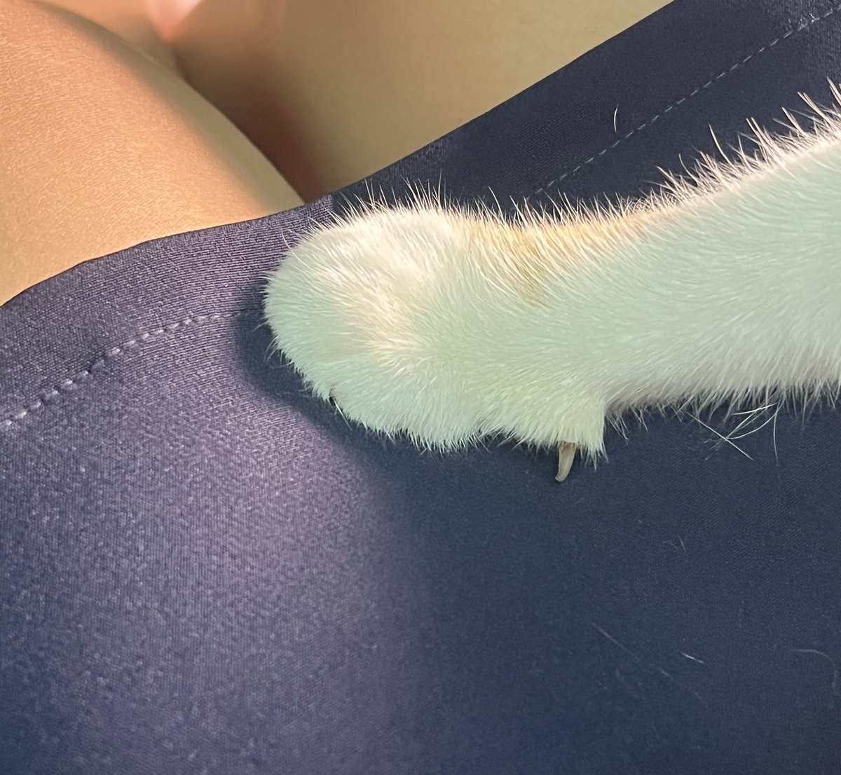 อย่าห้ามพี่ไอ้น้อง