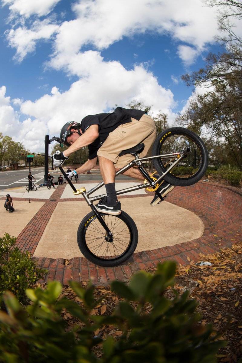 Profile Racing tweet media