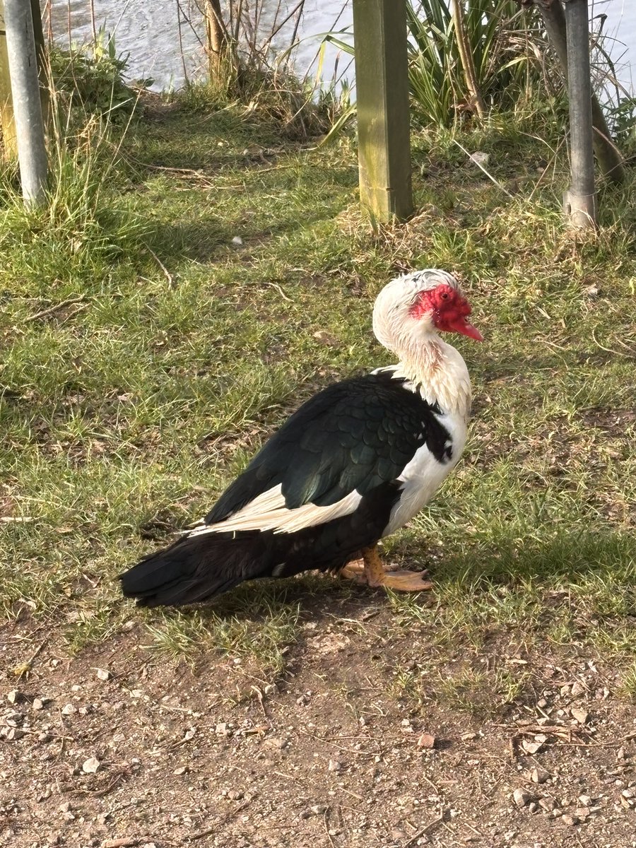 Glenn Jones tweet media