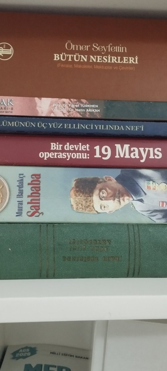 Yeğenimin gelip gidip dede dediği kişi Sultan Vahdettin.