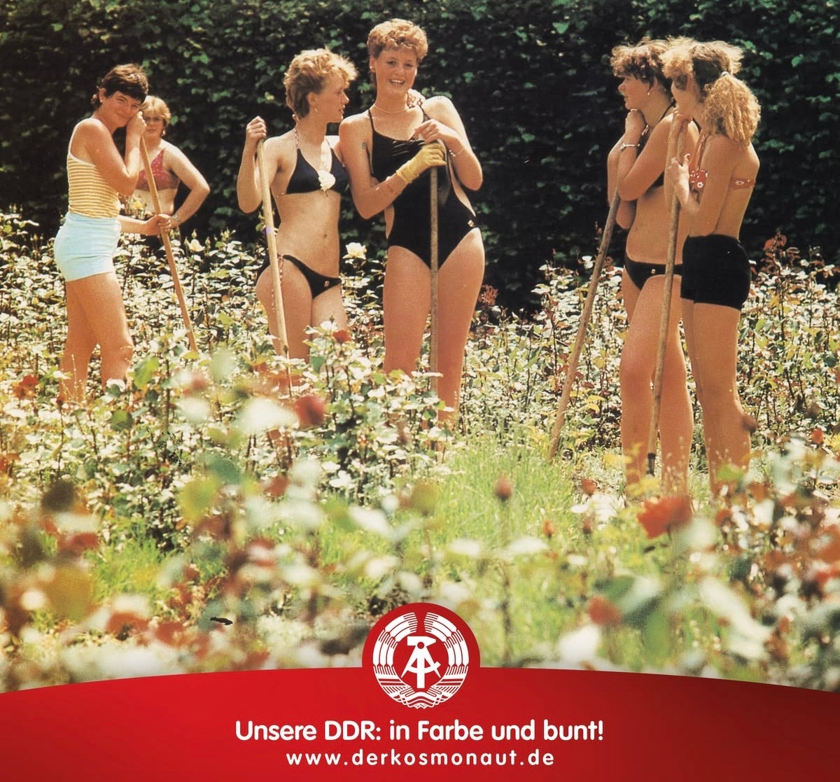 Rein Mikael tweet media