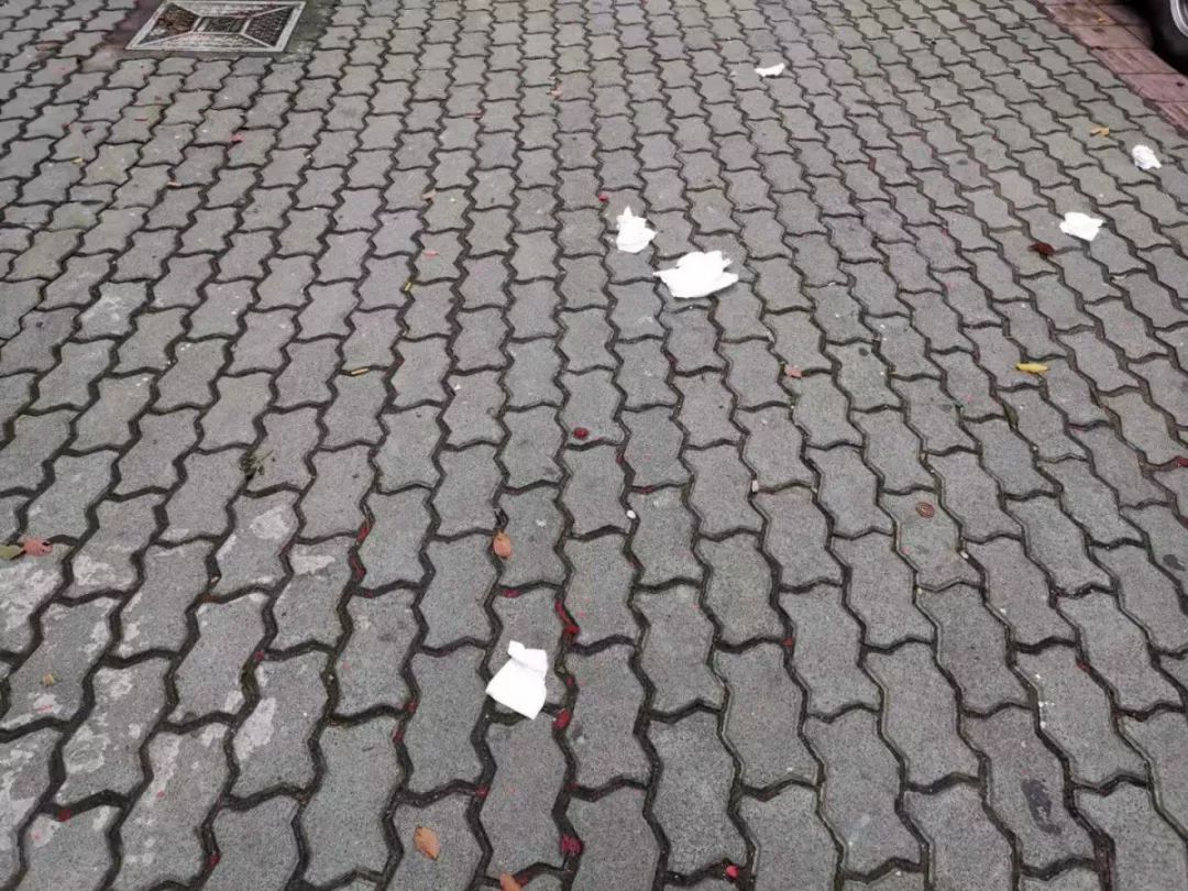 Katheleen tweet media