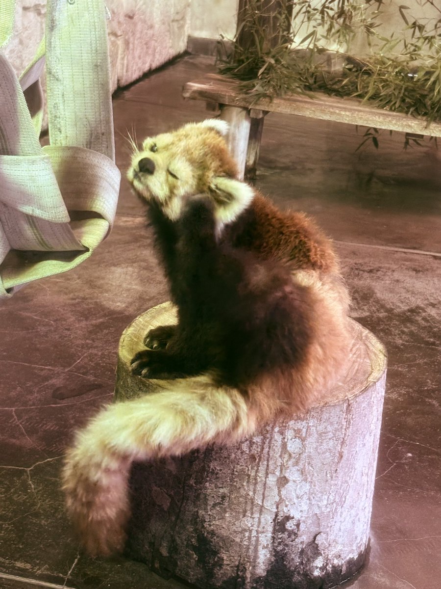 huki 5月~依頼募集中 tweet media