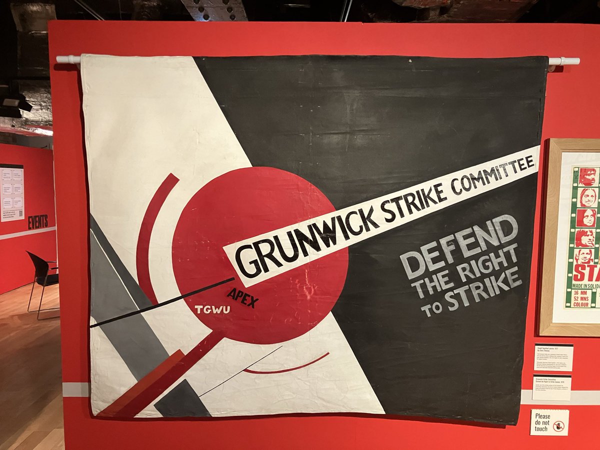 Andrea 🌻 tweet media