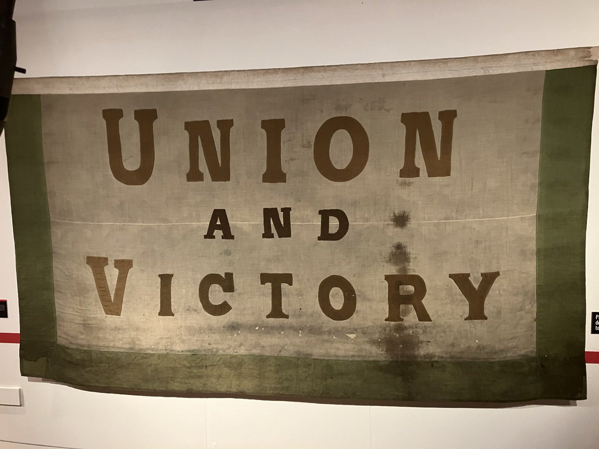 Andrea 🌻 tweet media