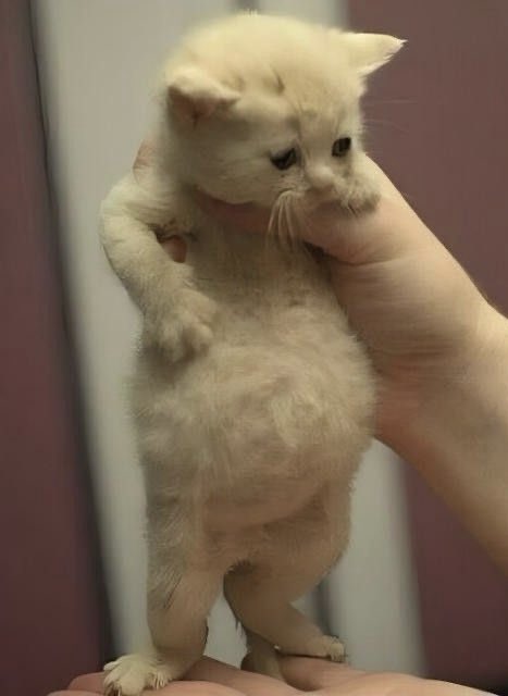 𝚝eddi ⋆ ᶻ 𝗓 𐰁 tweet media