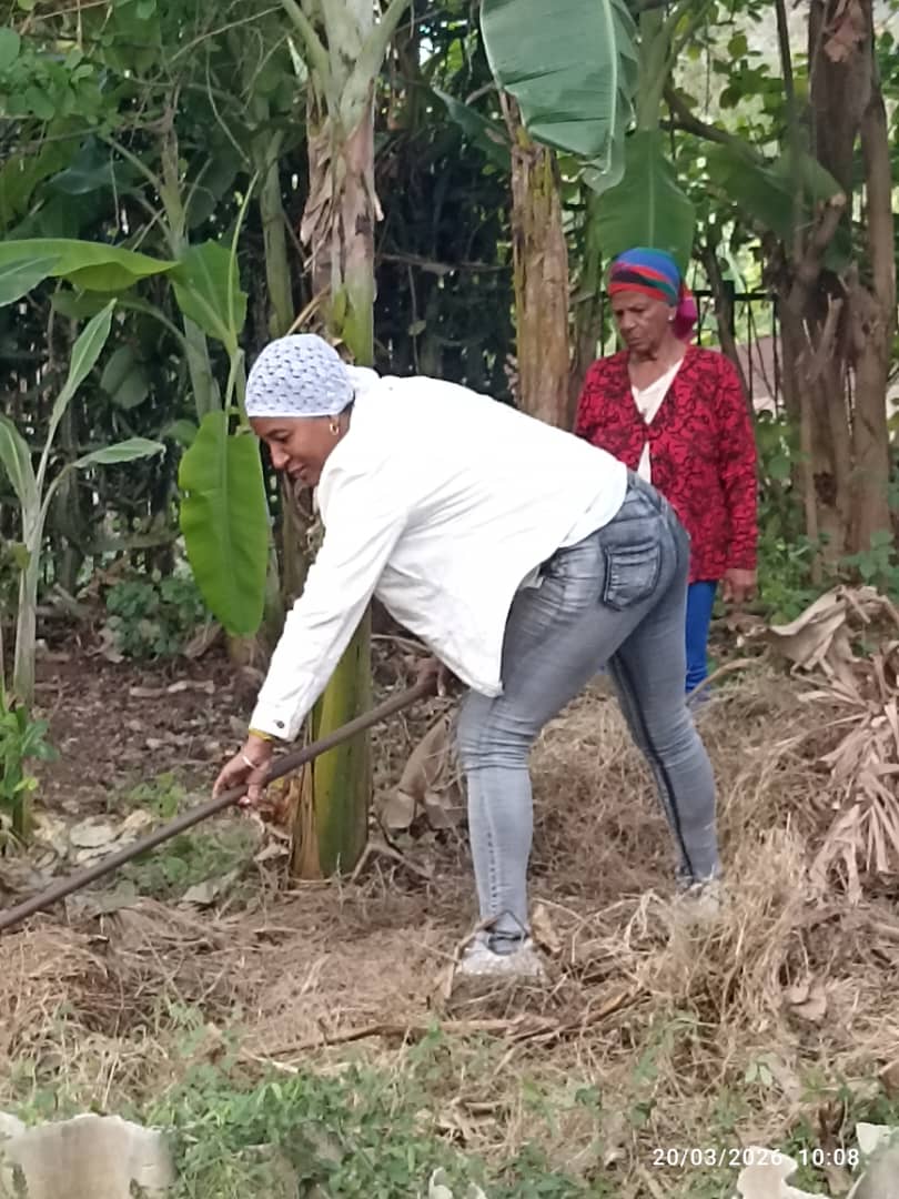 Proceso de cambio de labor en la EE Mártires de Regla, se elabora en los canteros de la escuela, la siembra como parte de la soberania alimentaria del centro.
<a href="/DirectEducaHab/">Karenia Marrero Arrechea</a> 
<a href="/YolivanC41557/">Yoliván Prevost Candó</a> 
<a href="/SaerySerrano/">Saery Serrano</a> 
<a href="/IzquierdoAlons1/">Livan Izquierdo Alonso</a> 
<a href="/YanetHzP25/">Yanet Hernández</a>
