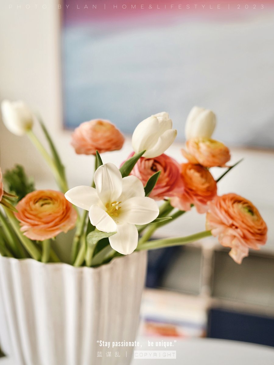 woo woo woo tweet media