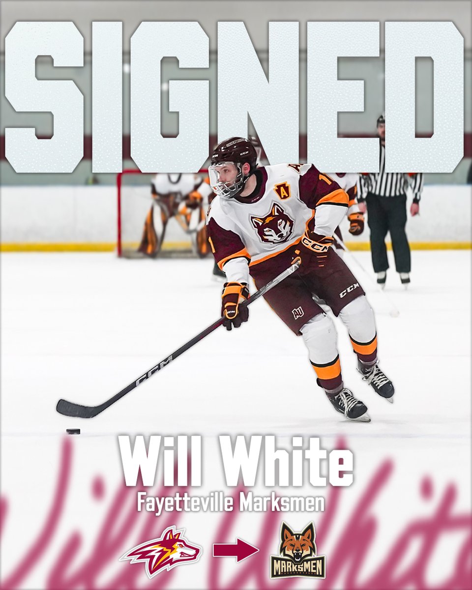 Golden Wolves tweet media