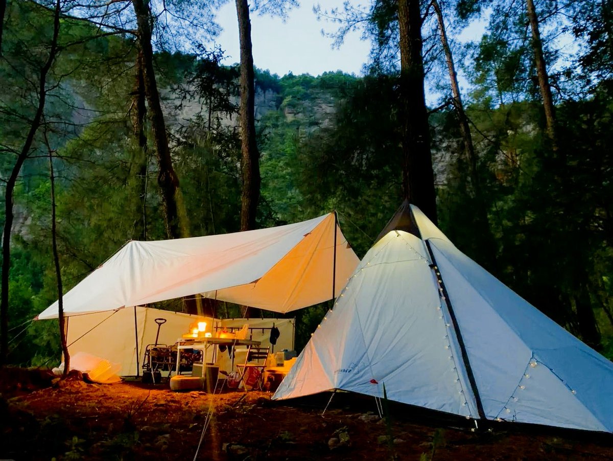 Krystell Chiu tweet media